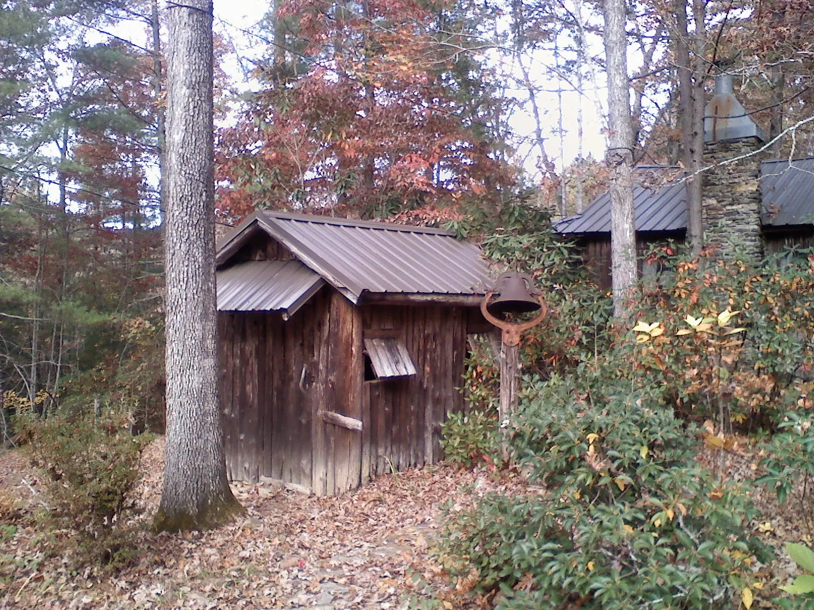 Small metal roof on a rough sawn shed in the woods in Weyauwega
